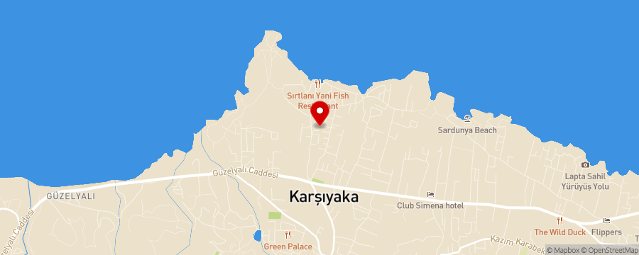 Карта