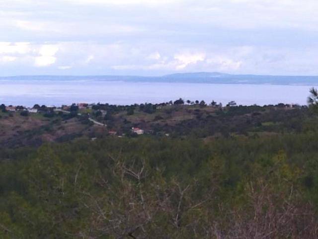 Güzelyurt Bademliköy’de Satılık Deniz Manzaralı Arazi