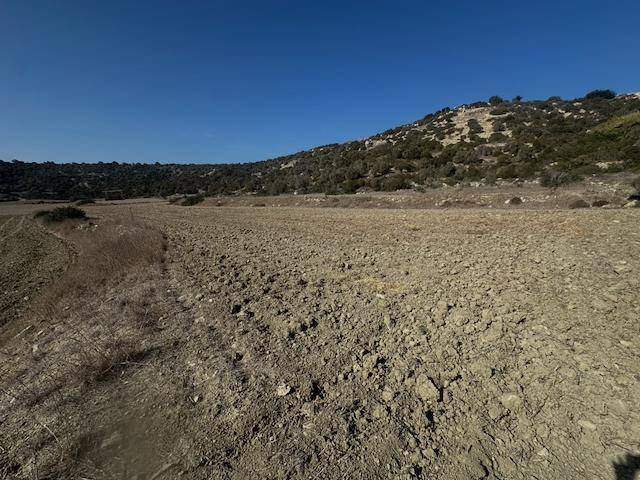 Affordable Field For Sale In Avtepe Region