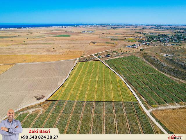 Land For Sale In Iskele / Aygün Region